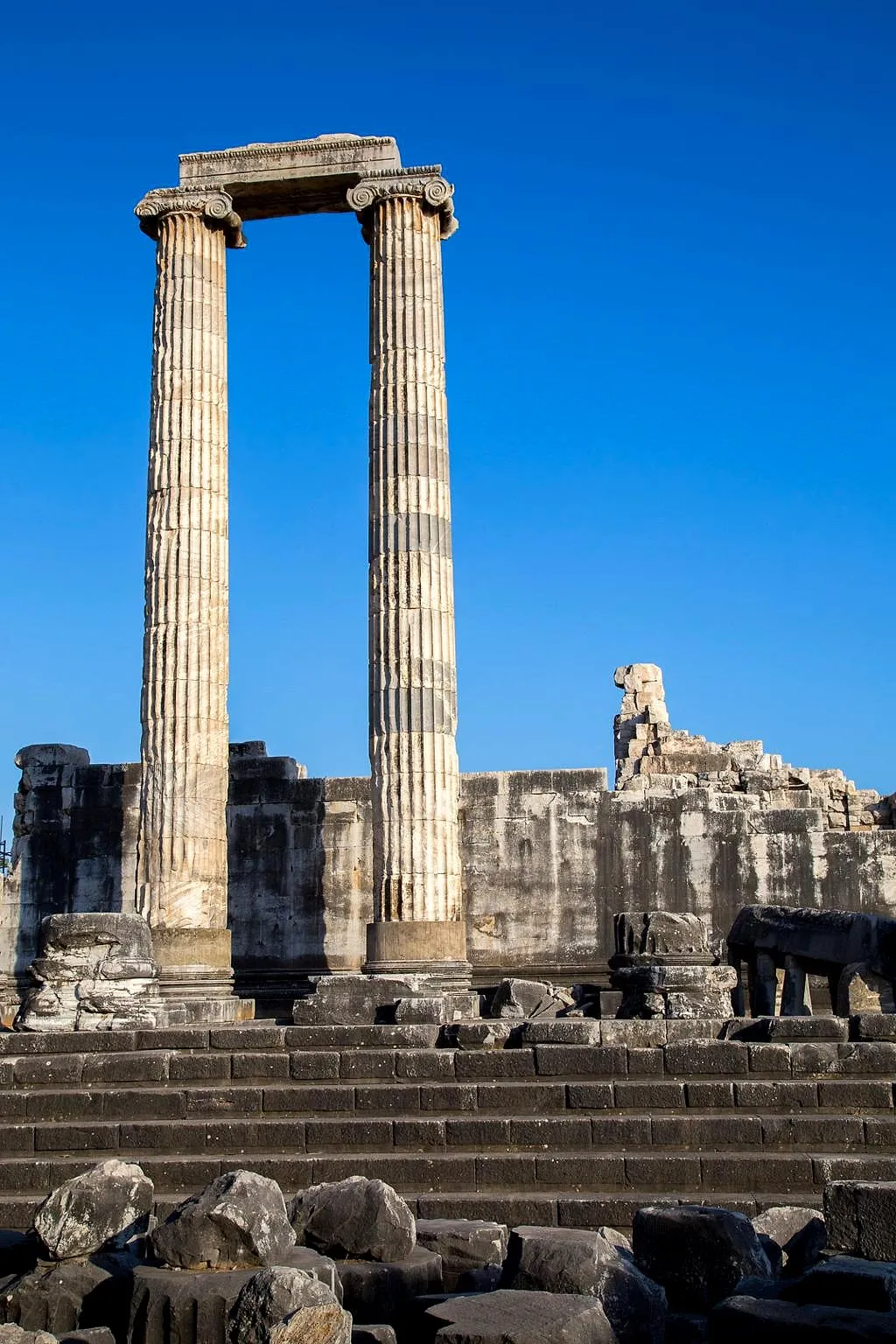 Towering columns of the Temple of Apollo at Didyma